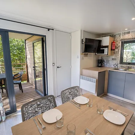 Flower La Steniole *