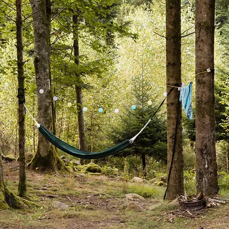 Flower La Steniole Granges-sur-Vologne