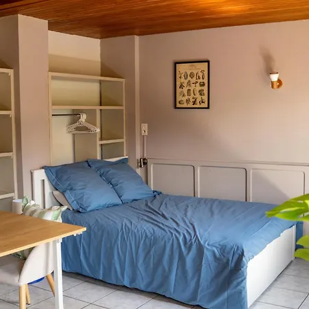 Flower La Steniole *