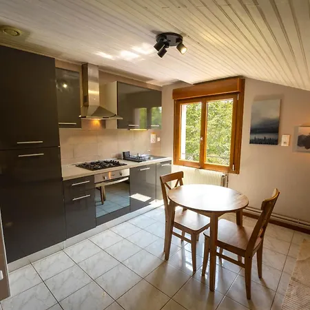 Flower La Steniole *