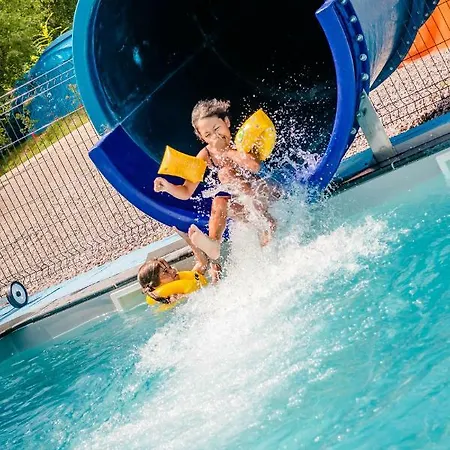 Flower La Steniole *