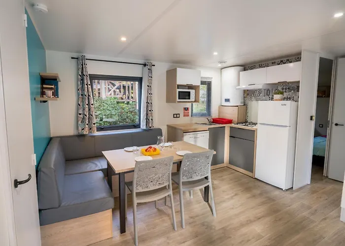 Flower La Steniole * Granges-sur-Vologne