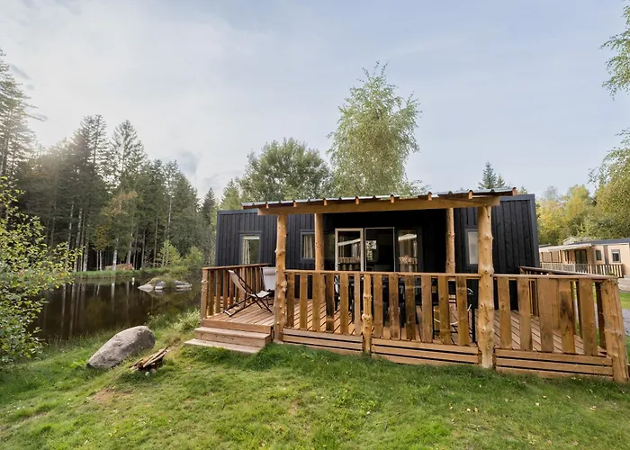 Flower La Steniole *