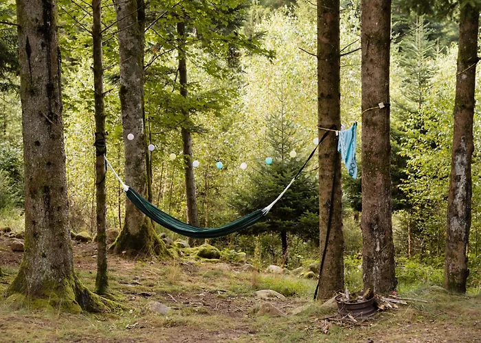 Flower La Steniole Granges-sur-Vologne