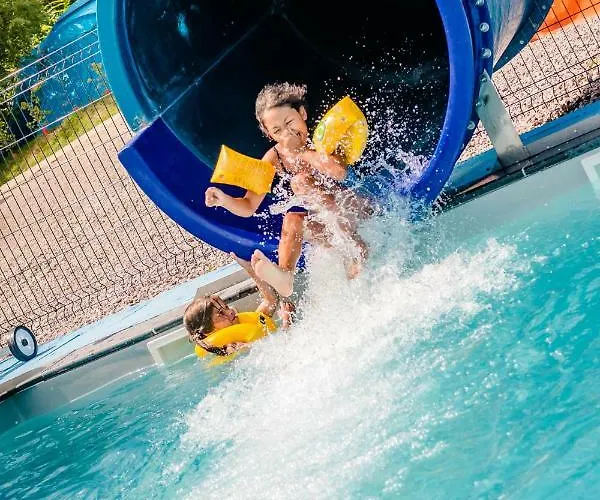 Flower La Steniole *